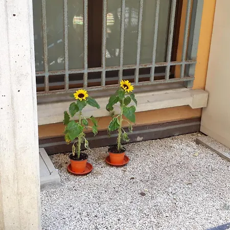 Corte Frassinago Apartamento